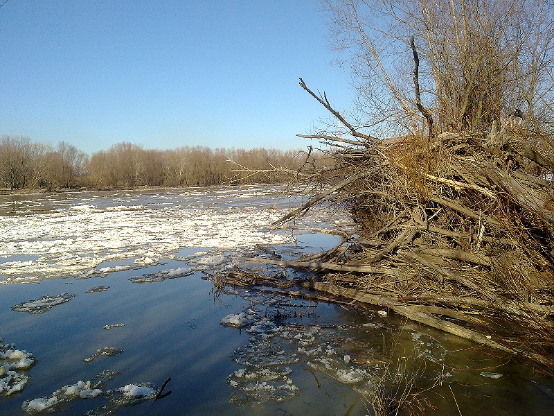 20120305065.jpg
