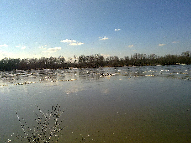 20120305077.jpg