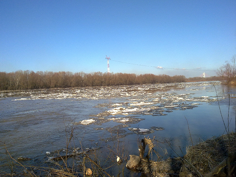 20120305063.jpg