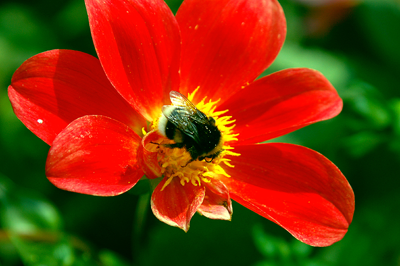 DSC_6721mp.jpg