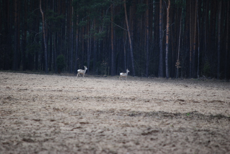 DSC_0134.JPG