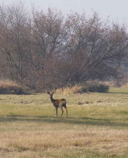 untitled1 - Kopia.jpg