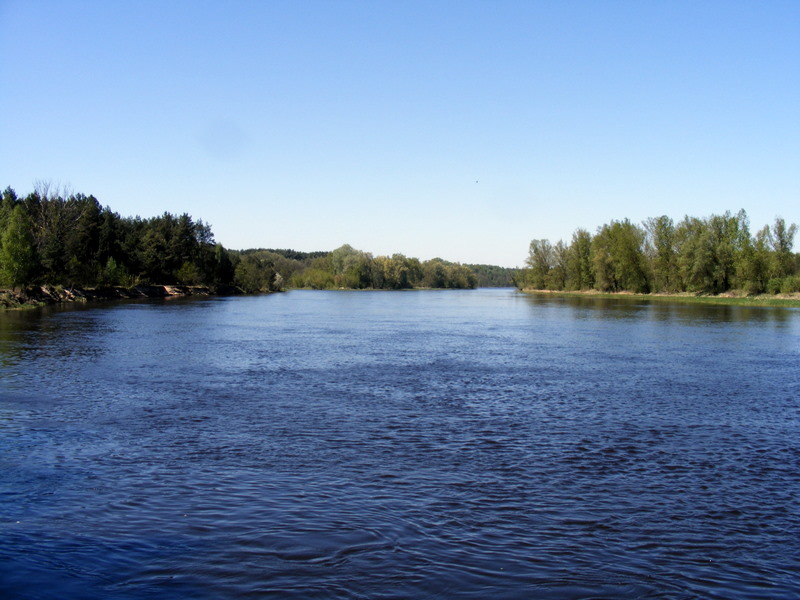 DSCF2433.JPG