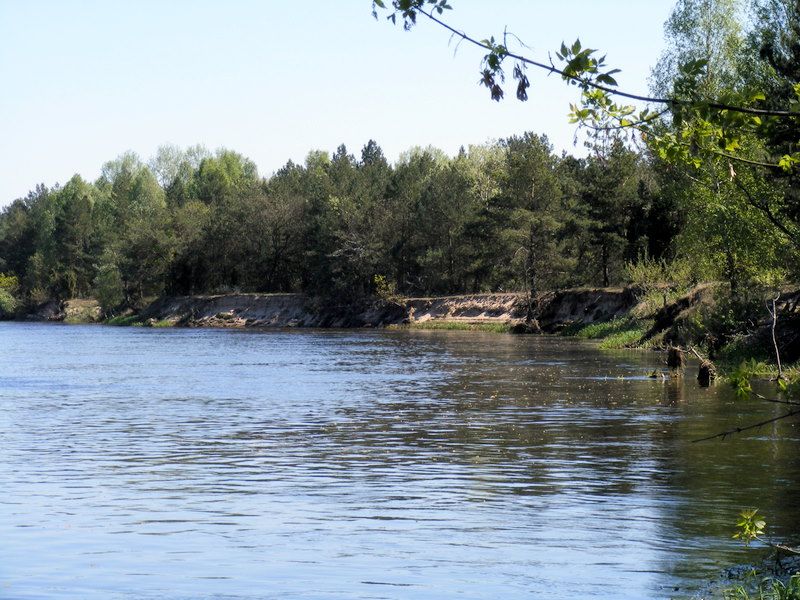 DSCF2435.JPG