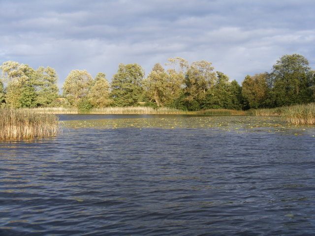 9.JPG