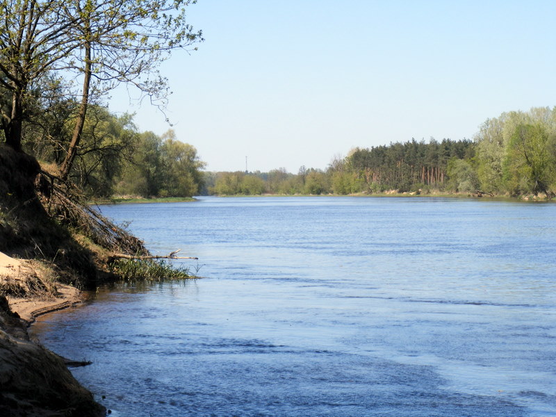 DSCF2440.JPG