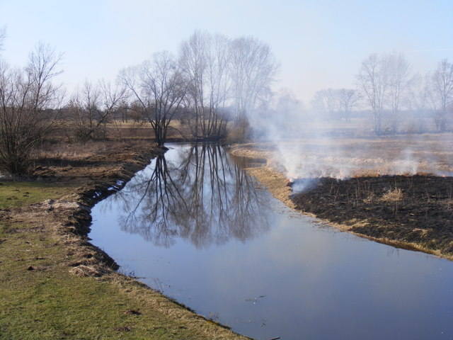 ujście Łasicy do Bzury.JPG