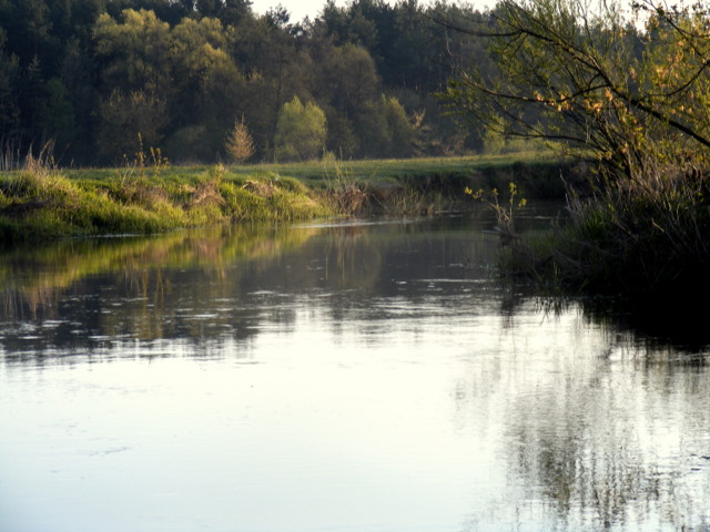 Liwiec.JPG