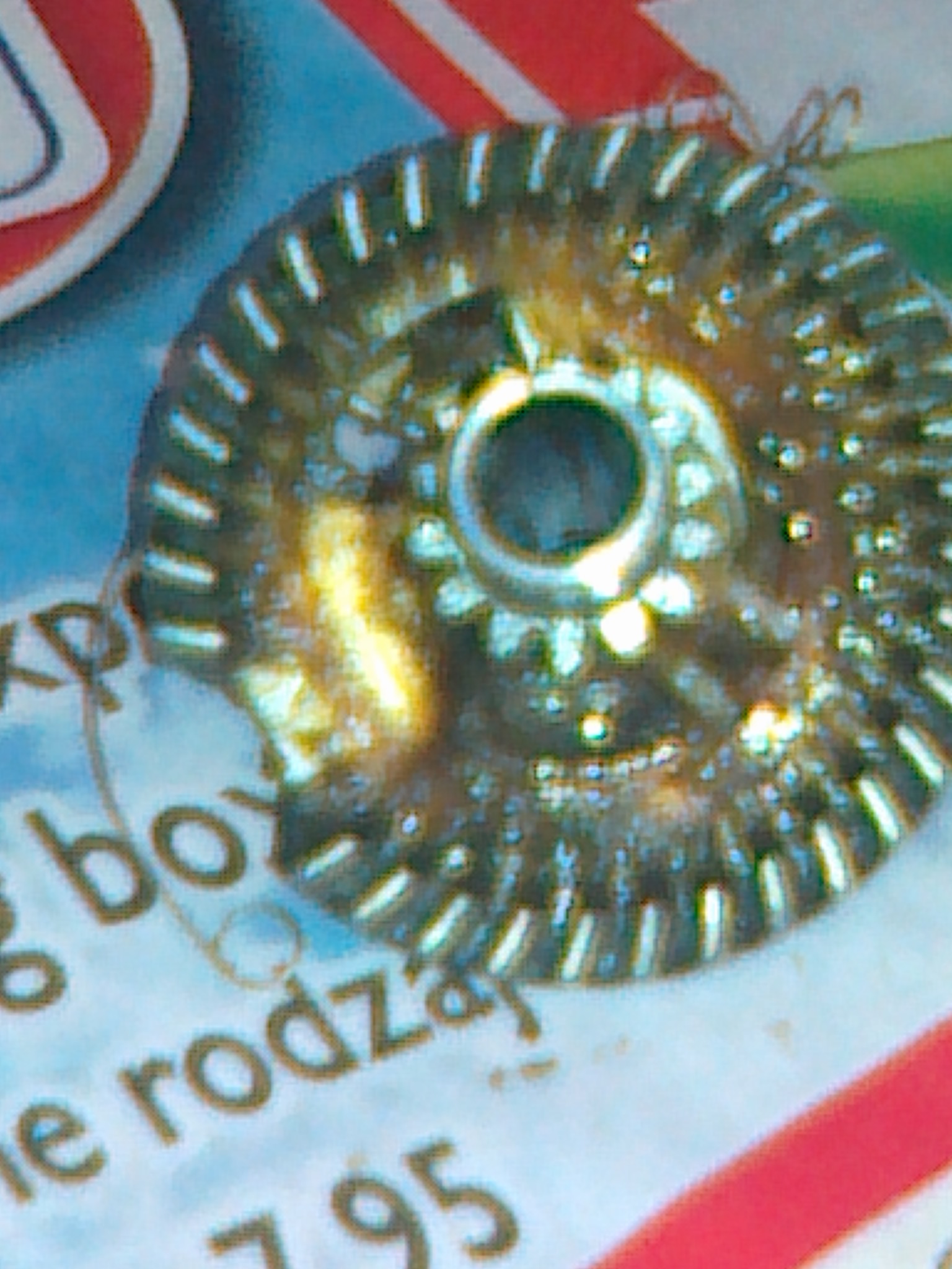 20120213197.jpg