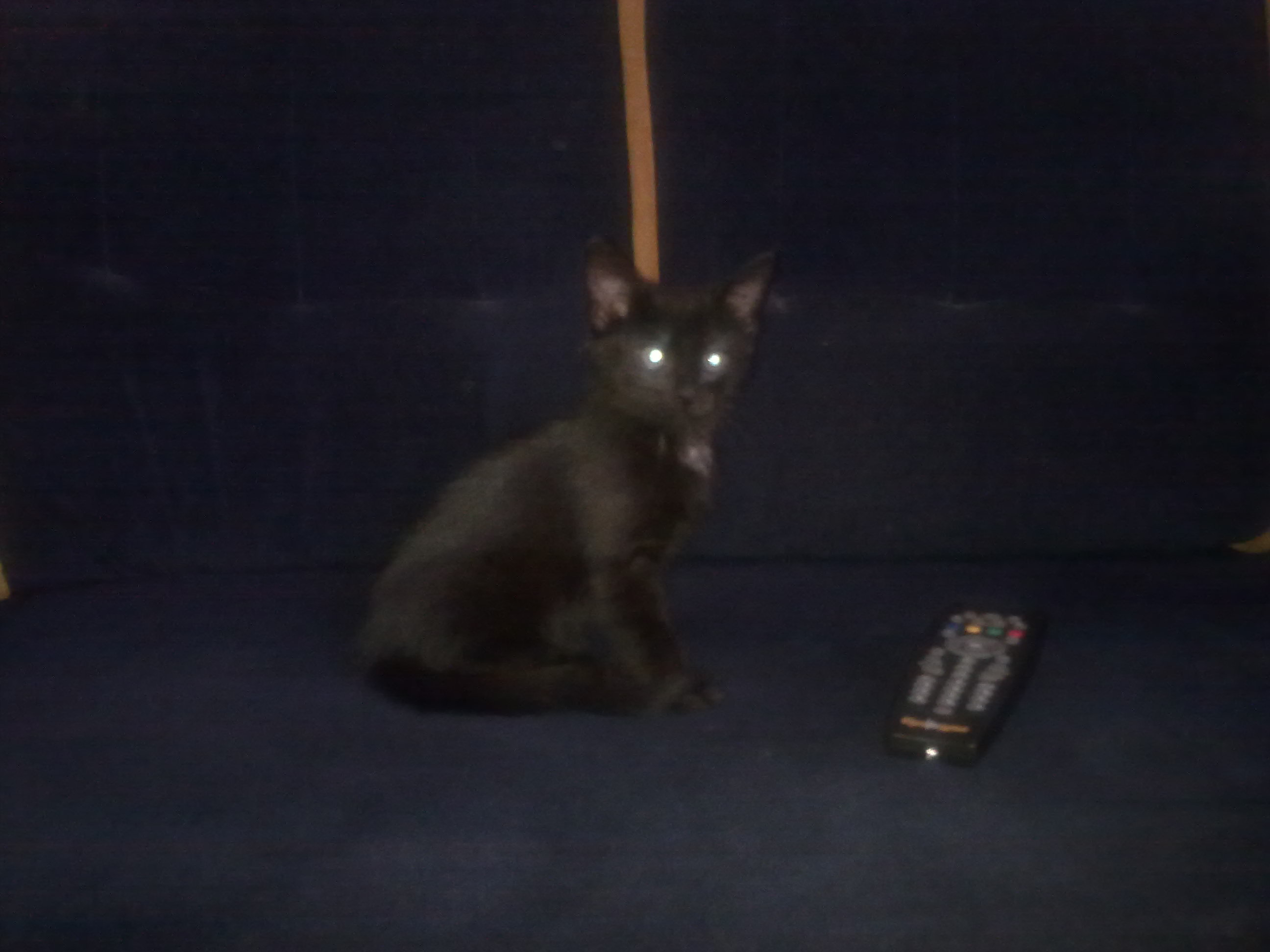 14062012154.jpg