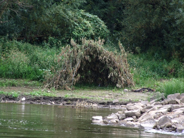 DSCF5762.JPG