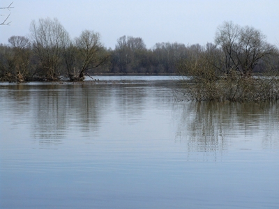DSCF1105.JPG