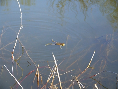 DSCF1095.JPG