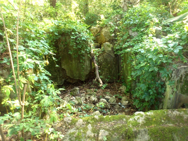 DSC_0071.JPG