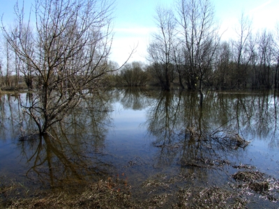 DSCF1104.JPG