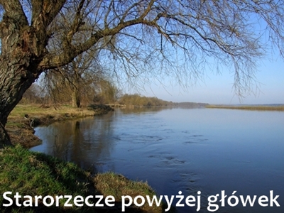 DSCF1079.JPG