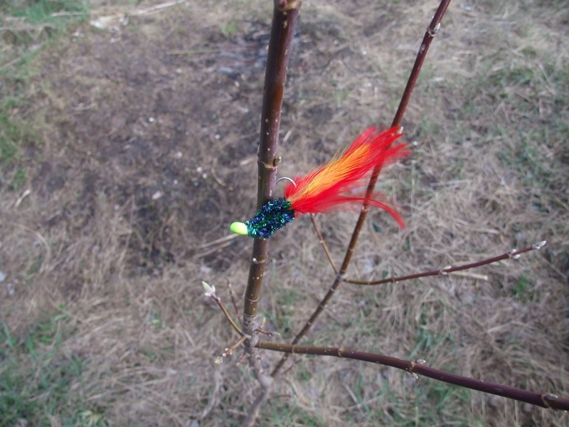 DSCF4166.JPG