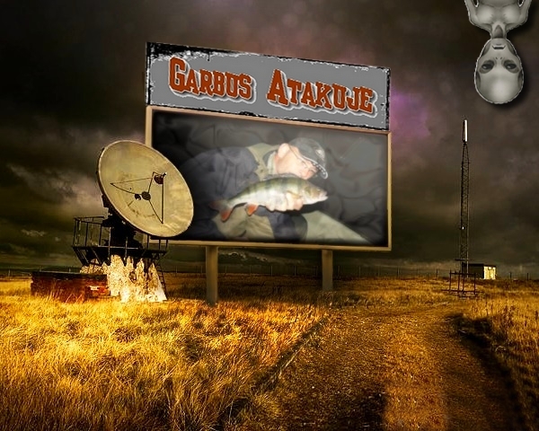 ufo garbus.jpg