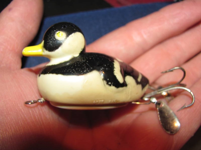 kaczka dziwaczka.jpg