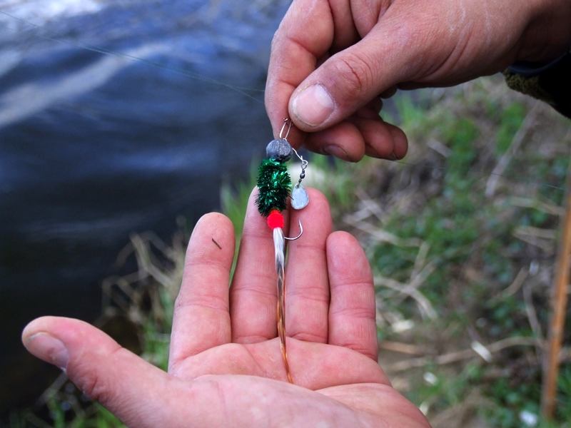 DSCF4158.JPG