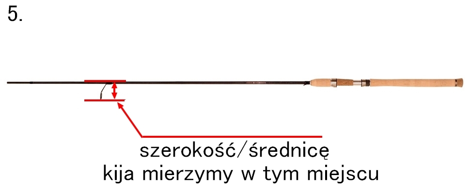 mier.jpg