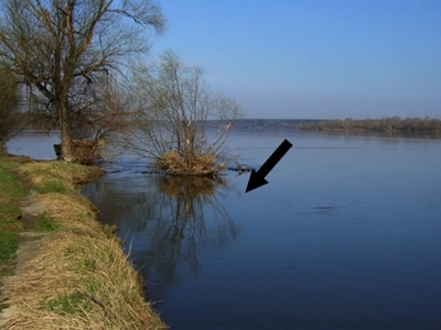 DSCF1081.JPG