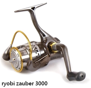 d_d__vyr_1205ryobi-204000-20zauber.jpg