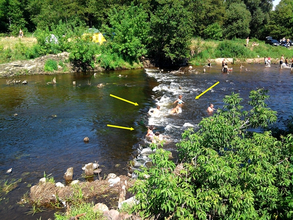 2010-07-11 14.50.27.jpg