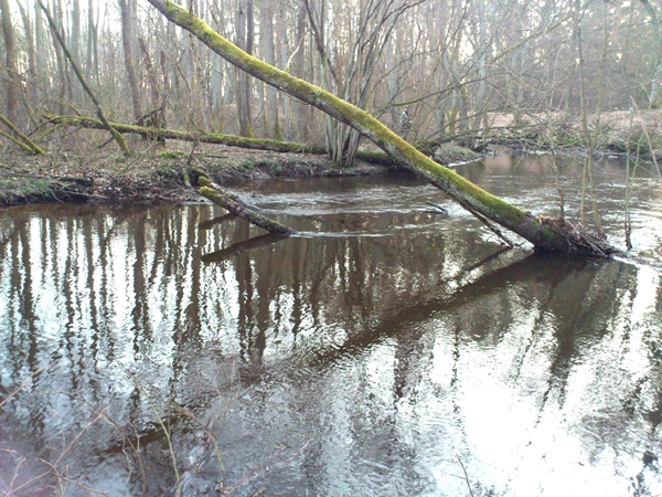 DSC_0124.JPG