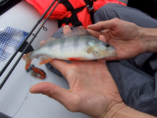 DSCF5756.JPG