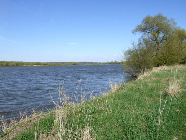 DSCF1183.JPG