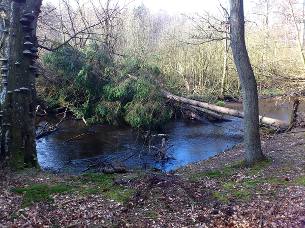 DSC_0133.JPG