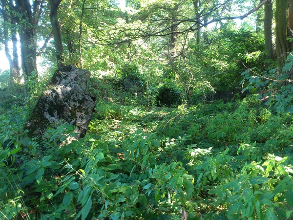 DSC_0069.JPG