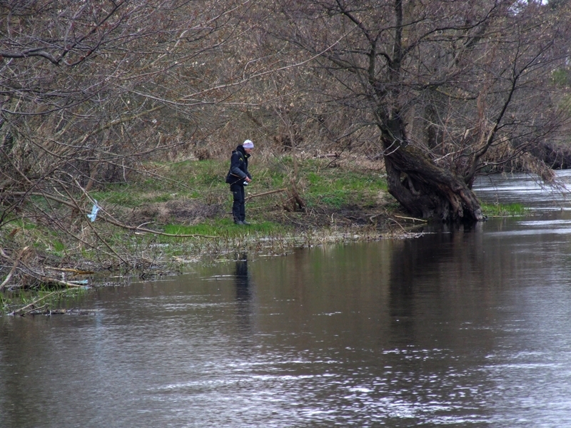 DSCF4151.JPG