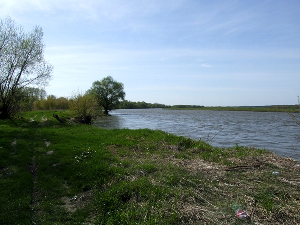 DSCF1184.JPG