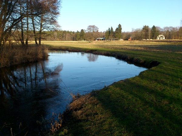 DSC_0083.JPG