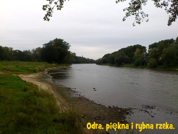 DSC_0030.JPG