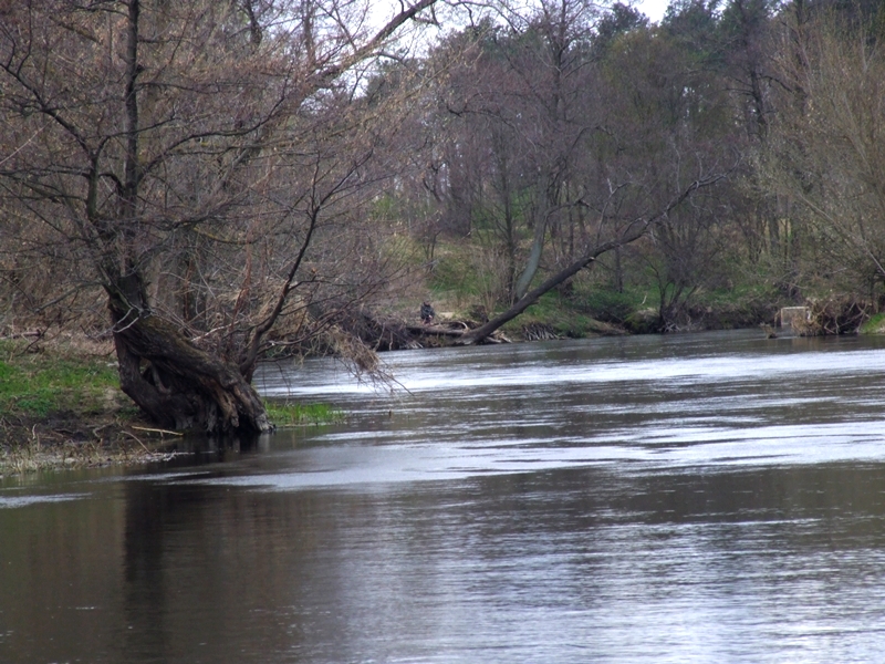 DSCF4152.JPG