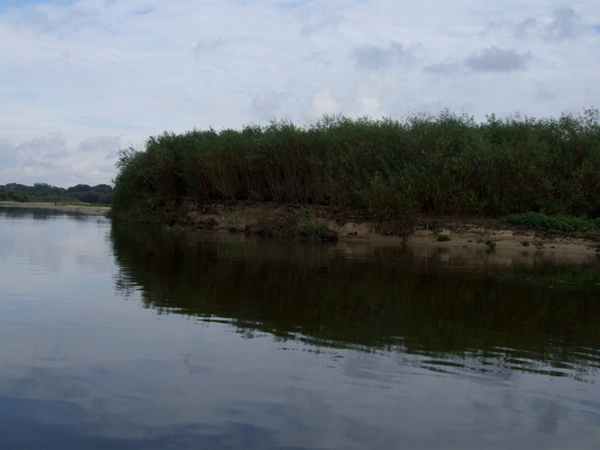 DSCF5765.JPG