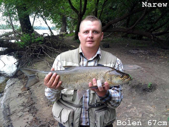 Narew-67cm.jpg