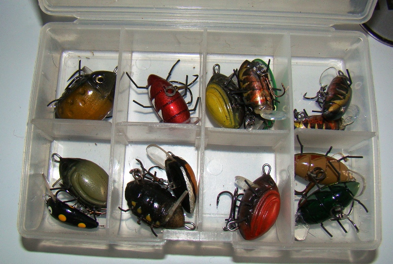 DSC07286.JPG