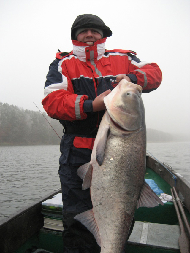 Tołpyga 2011 130cm.jpg