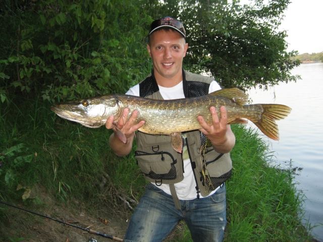 szczupak.jpg