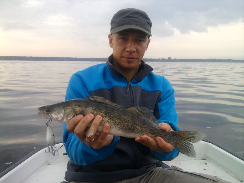 Zdjęcie-0085 v1.jpg