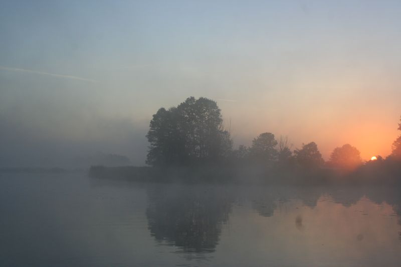 IMG_7663.jpg