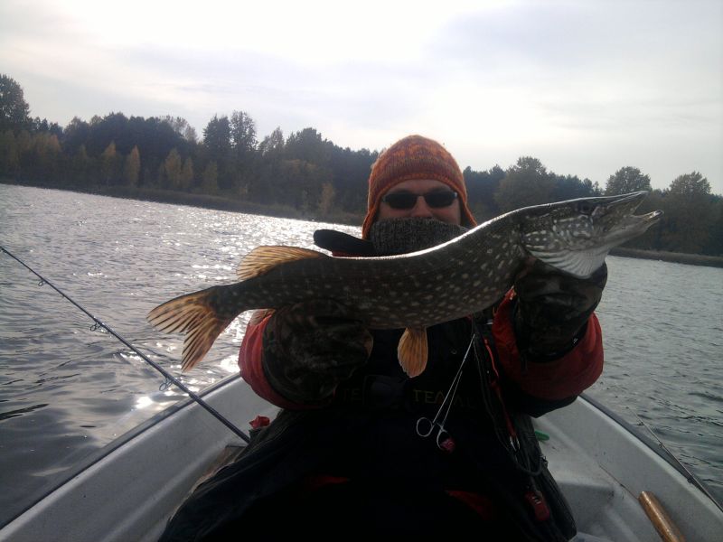 Zdjęcie-0121 do posta.jpg