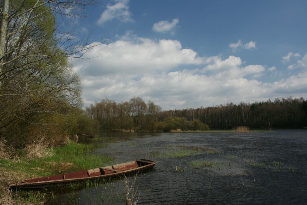 IMG_5120 poprawa.jpg