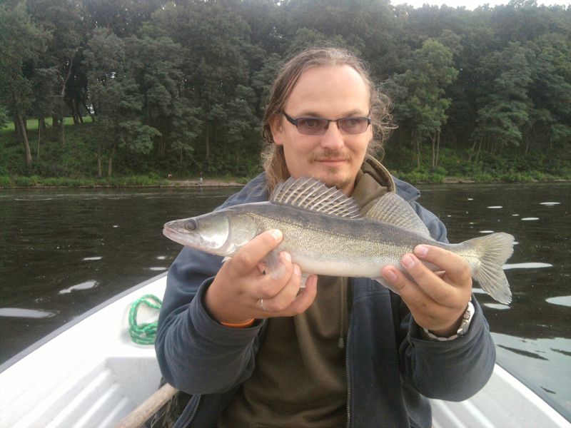 Zdjęcie-0084 v1.jpg