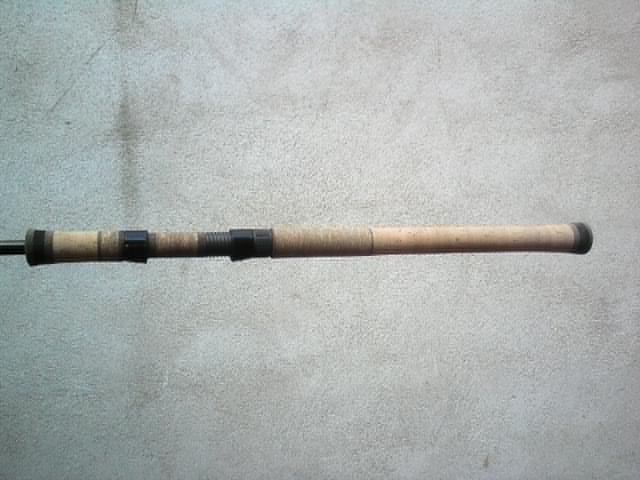 DSC00569.jpg