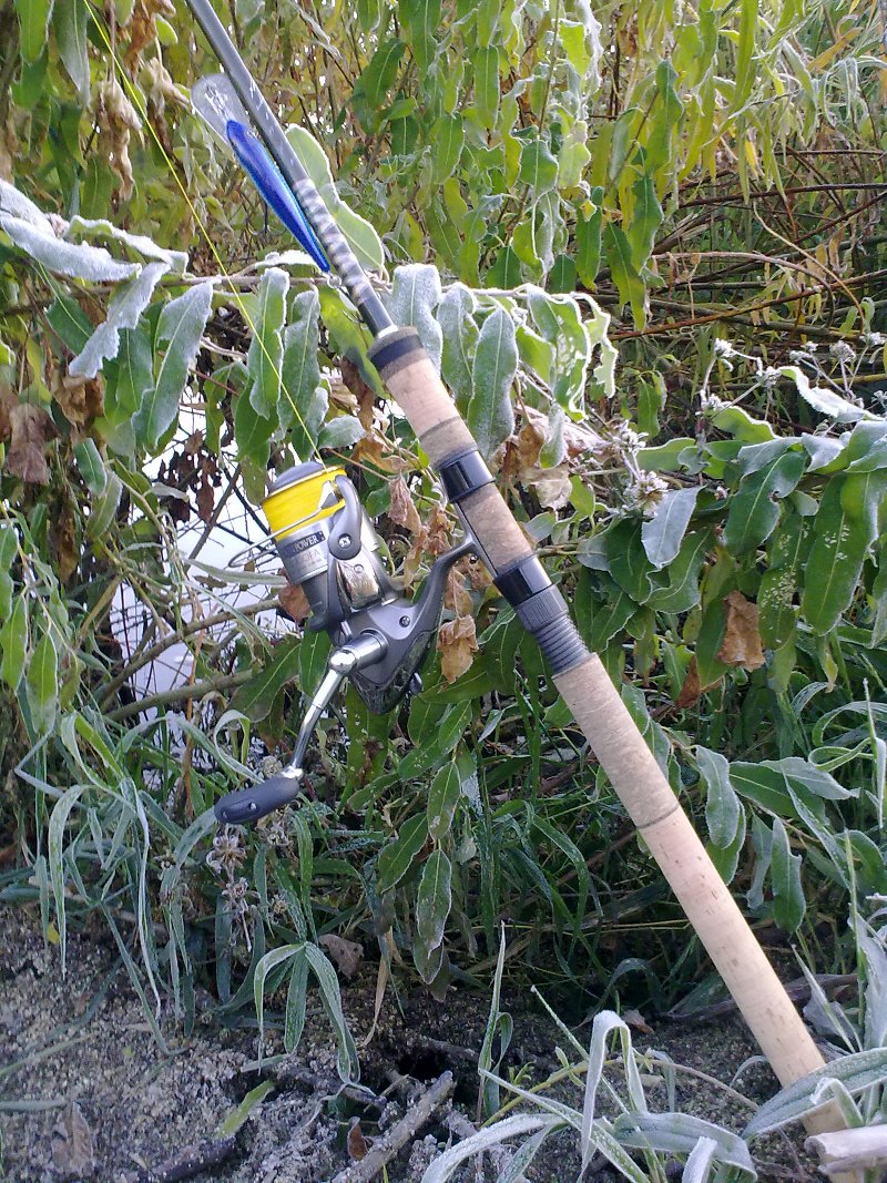 20101016040.jpg